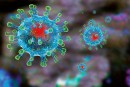 Памятка коронавирусной инфекции